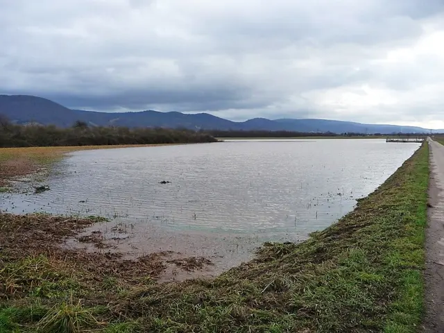 Überschwemmungen im Bereich des Losgrabens 2011 - den Biber gab's da noch nicht. | Foto: Dr. Dieter Nährig