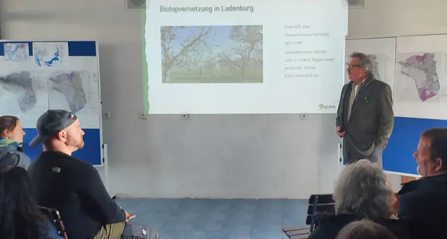 Dr. Hanns-Hermann Wahl spricht über die erstaunliche Artenvielfalt der Streuobstwiesen und ihre besondere Bedeutung für die Biotopvernetzung auf der Gemarkung Ladenburg. | Foto: Karin Lüthringhausen