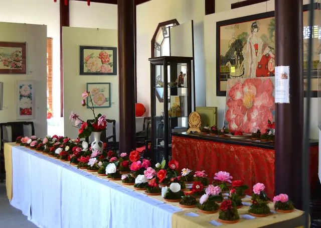 "Blütenbüffett" im chinesischen Teehaus. | Foto: zg