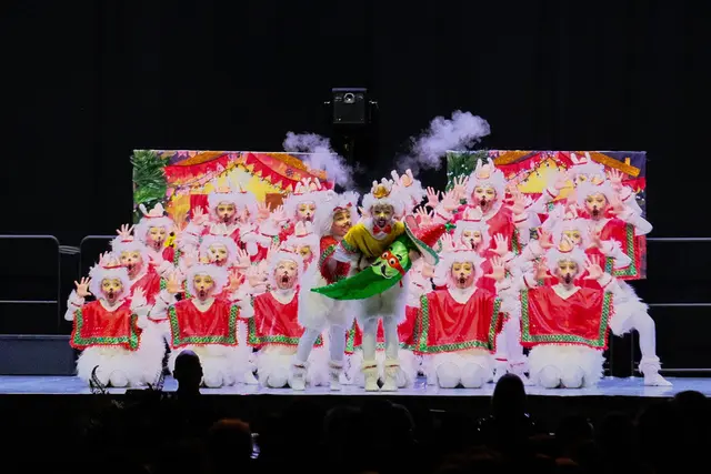 Die Feuerio-Garden zeigten in Köln beeindruckende Leistungen. | Foto: zg