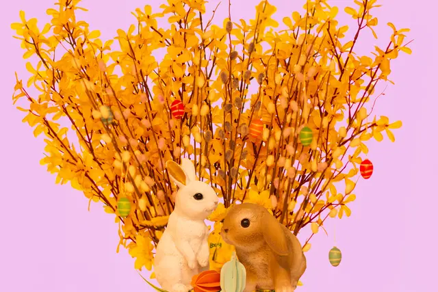 Foto: Christian Rohr