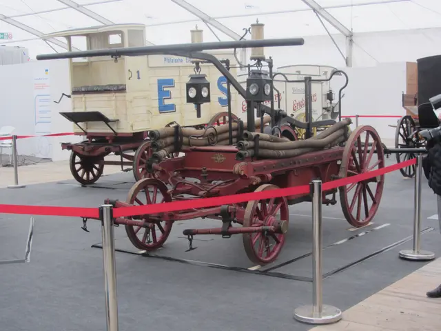 Viel zu sehen gibt es auch auf dem diesjährigen Maimarkt. | Foto: Schatz