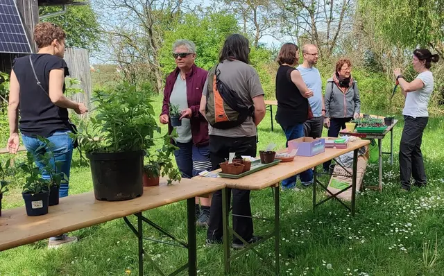 Angeregter Tausch von Pflanzen und Ideen - so ging es 2025 auf der Bacherlebnisstation zu. | Foto: Foto: Michael Janke