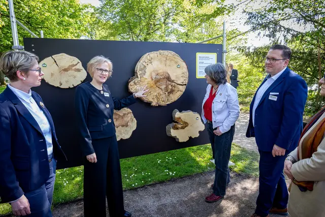 Eine besondere Ausstellung gibt es im Schlossgarten Schwetzingen zu sehen. | Foto: SSG