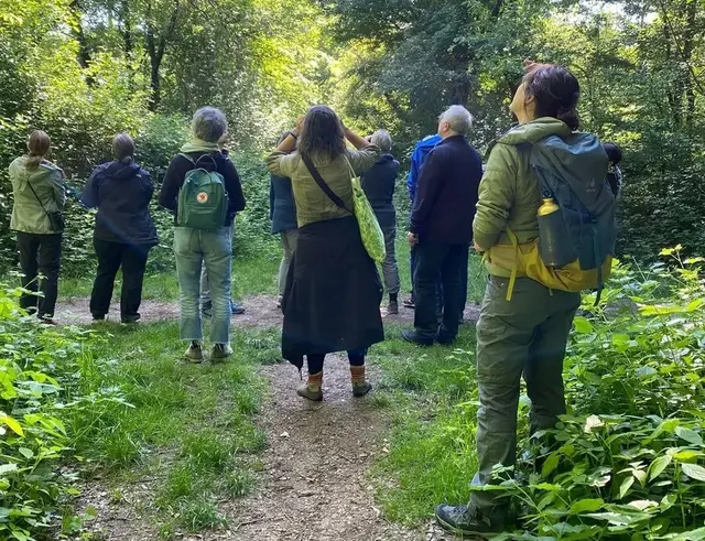 28 Vogelarten - darunter auch Pirol, Goldhähnchen, Nachtigall und Wanderfalke - konnten wir bei der letztjährigen Exkursion hören und teilweise auch sehen | Foto: NABU Edingen-Neckarhausen
