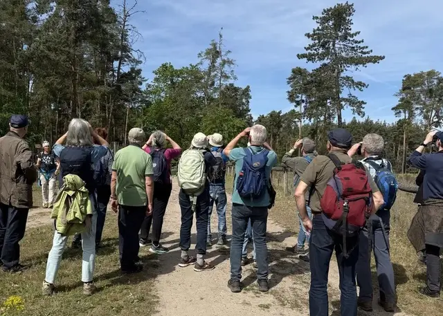 Im Dossenwald | Foto: NABU Edingen-Neckarhausen