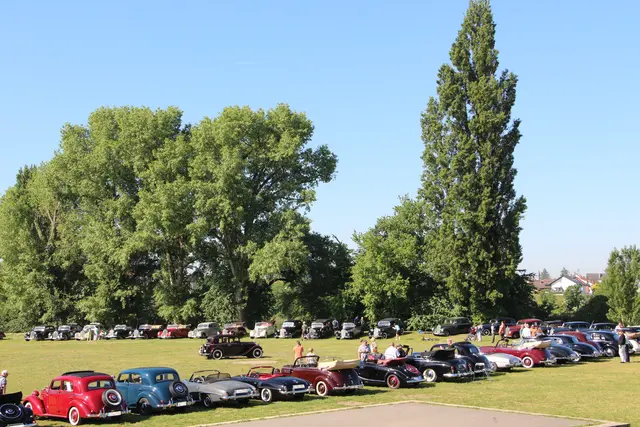 80 Oldtimer fuhren auf der Festwiese vor - 60 nahmen an der Ausfahrt teil. 
