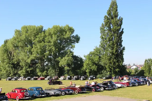 80 Oldtimer fuhren auf der Festwiese vor - 60 nahmen an der Ausfahrt teil. 