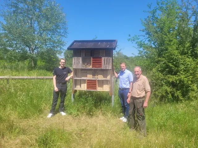 Nick Schneider präsentiert das neu bestückte Insektenhotel  Bürgermeister Florian König und Herbert Stein. | Foto: Jasmin Weishäupl