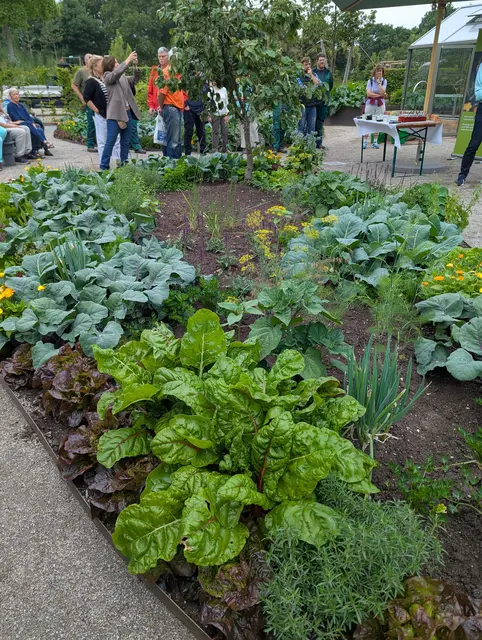 Im neuen Nutzgarten gedeiht alles bereits prächtig. | Foto: Schatz