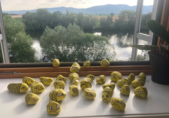 Limitierte Auflage an Bienen-Botschafter im Rathaus erhältlich... | Foto: BMA