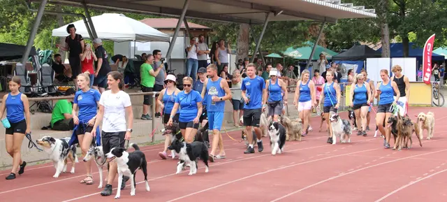 350 Teams nahmen an den Südwestdeutschen Meisterschaften im Hundesport in Ladenburg teil  - auch der VdH-Ladenburg war dabei. 