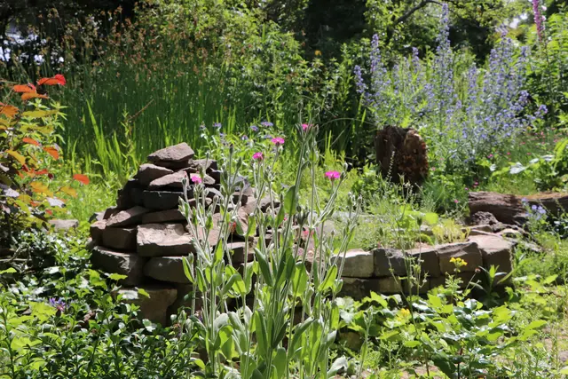 Naturnaher Garten mit Stauden und Steinmauer | Foto: NABU/Christine Kuchem