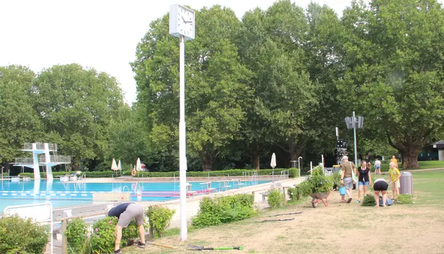 Die Hibiskuspflanzen vor dem Schwimmerbecken waren bei den Hobby-Gärtnern sehr begehrt. 