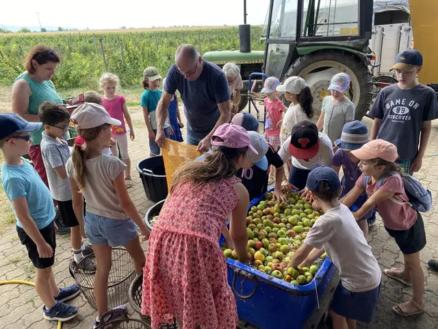 Apfel-Ernte mit den Edinger Landfrauen | Foto: LF