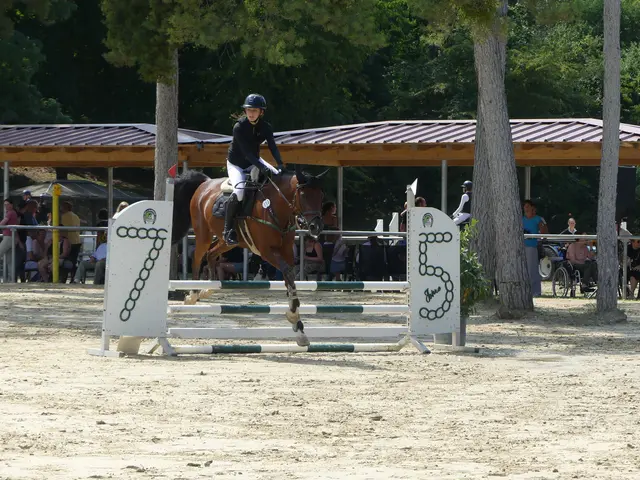 Drei Tage lang gab es tollen Pferdesport auf der Reitanlage am Dossenwald zu sehen. | Foto: Schatz