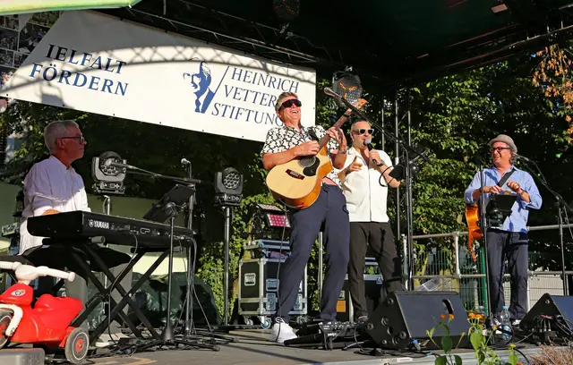 Rock im Park begeisterte wieder einmal die Besucher im Heinrich-Vetter-Park. | Foto: Helmut Jung