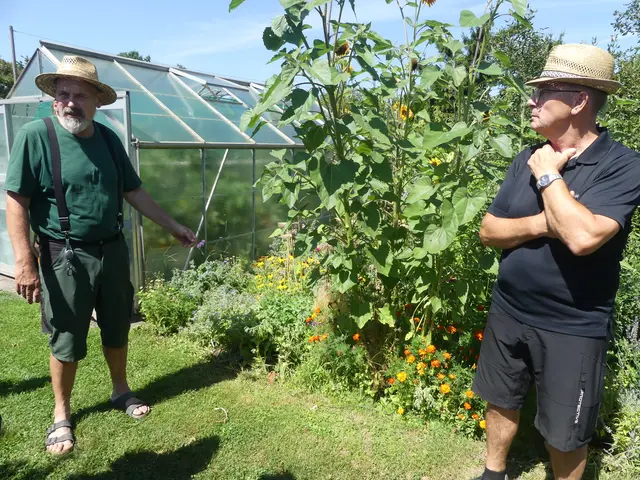 Stefan Matt zeigt sein Insektenbeet.
 | Foto: Schatz