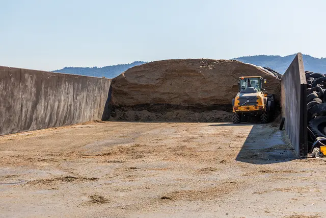 Hier wird in Kürze die Maissilage eingelagert werden – aufgrund der langen und großen Hitze 4 Wochen früher als üblich.