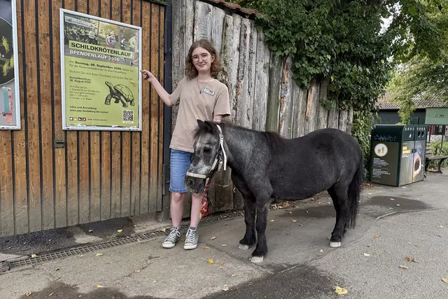 Franziska Röder, die ihr FÖJ im Marketing absolviert, begleitet Purzel.  | Foto: 
Foto: Heidrun Knigge / Zoo Heidelberg