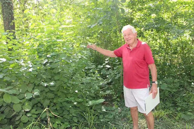 Der Grün-Experte Werner Molitor kritisiert den dichten Bewuchs im Waldpark. 