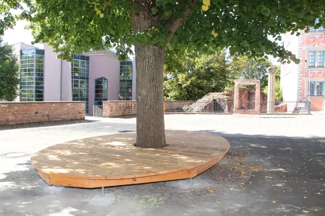 Die Sitzbank um die Linde im Dalberg-Schulhof erneuerte die Schreinerabteilung des städtischen Bauhofs. 