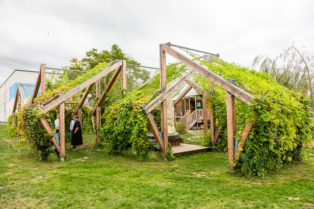 Eine beeindruckende Konstruktion, die im Außenbereich des Naturkindergartens entstanden ist.  